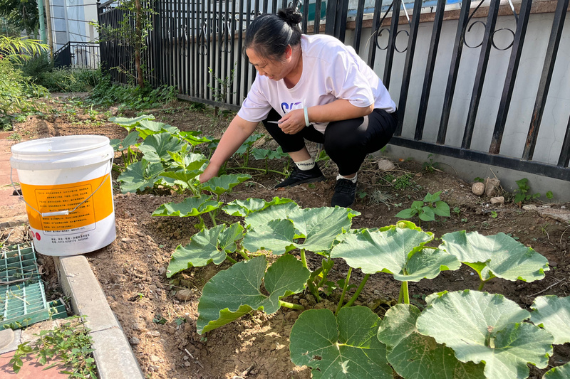 大家一起来种菜！“公益菜园”种幸福！