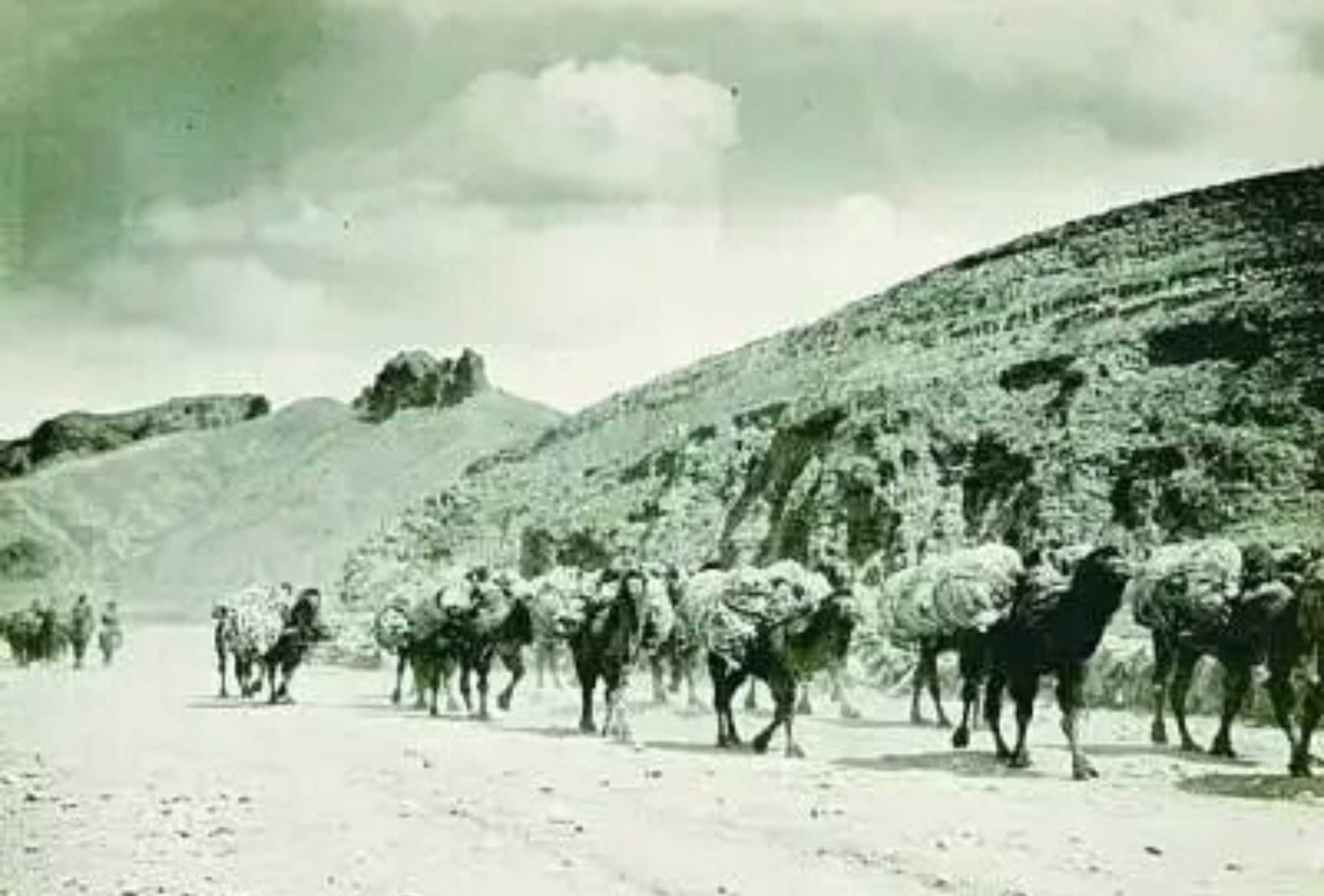 承风光绿数之机遇启智旅冰雪之新篇——正在被重新定义的张家口(图2)